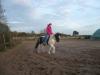 Rappscheck-Pony (46562 Voerde) zu verkaufen