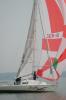 Segelyacht Carrera 290 8, 90 x 2, 95 BJ 1993 super gepflegt