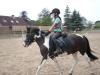 Biete Reitbeteiligung für Pony (123 cm) in Oberursel /  Bommersheim