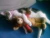 Mia und Muffel suchen dringend ein neues zuhause