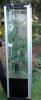 Großes Terrarium incl. Licht und Deko 1, 80m x 0, 5m x 0, 5m