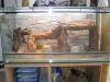 Vollglasterrarium B100xT50xH50 mit allem Zubehör