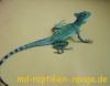 Stirnlappenbasilisk 1.0 abzugeben (Bock)