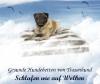 Schlafen wie auf Wolken - gesundes Hundebett Gr. S
