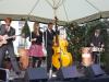 Berlin: versatile UPRIGHT BASS PLAYER looked for  prof. Retro-Pop/ Swing/ Soul-Ban