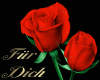 Ich suche eine nette