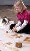 Montessori-shop.de 