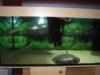 200cm Komplettaquarium