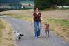 Hundesitter /  Hundebetreuung