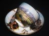 Ankauf von Meissen,  Rosenthal,  Nymphenburg,  Allach,  Service,  Schalen etc.