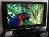 Samsung LE40 HDTV 102cm LCD  Fernseher 450€