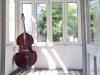 Philharmonischer Sachse • 4/ 4 Kontrabass • 115 Jahre • sehr ausgewogen und wohl 