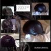 Veredelt mit Swarovski Elements z.B. Reitkappen, Trensen, Bandagen................