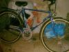 Biete Herren rad an hercules