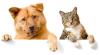 Hundefutter,  Katzenfutter,  Tierbedarf kaufen bei Natur4Pets.de