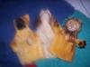 Drei original Handpuppen von Steiff