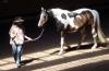 pferde.24-hs.de Stuttgart,  biete RB oder Unterricht,  Reiten und Pferdekommunikat