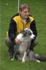 Hundebetreuung mit Familienanschluss Hundesitter 
