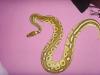 Spider het. pied,  Butter,  Classic