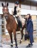 vieles rund um den Reitsport