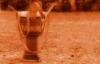 Djembe! Schule München