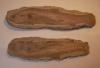Fisch Fossilie