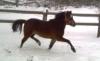 talentierte kleine Lady