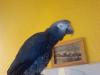 Hallo ich bin CoCo