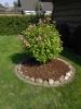 Übernehme dringend Gartenarbeiten !!!