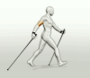 Neue Nordic-Walking Kurse