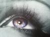 Wimpernstudio LASHES