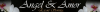 Escortservice sucht attraktive Escortladies!