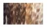 Suche Modelle für Haarverlängerung!