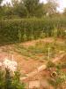 Klein Garten