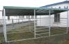 Weide-Unterstand-Panel Pultdach auch XXL 1.427, -€