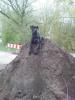 suche dringend ein neues zuhause 