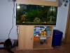 Aqarium 200l inkl, . Allemfür 150, -€ zu verkaufen