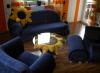 Bretz Gaudi 5 Teilige Couchgarnitur   Sonnenblumen Kissen