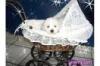 Bichon Frise Welpen