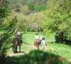 Reiturlaub - Wanderritt Last Minute für Kurzentschlossene 3 Tage Pfingsten 2010