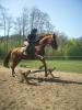 suche RB MIT tunierteilnahme