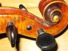 Geigenunterricht,  Musikunterricht Eliza Prieß
