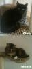 MAYA & CLEO