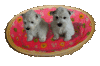Hundekorb Katzenkorb Brotkorb