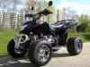 EAGLE QUAD-MOTORSPORT 250 CC 2 Personenzul. Der T-REX unter den Quads-Sommerfeel