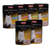 Sparpaket: 36 x Sheba Schalen   80g