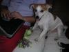 Spike und Sigge suchen dringend ein neues zu Hause!!!!