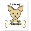 Ich suche einen Chihuahua Welpen zum verlieben.