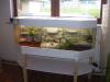 Terrarienbau mal anders- Für den kleinen Geldbeutel