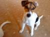 suche ein liebevolles zu Hause